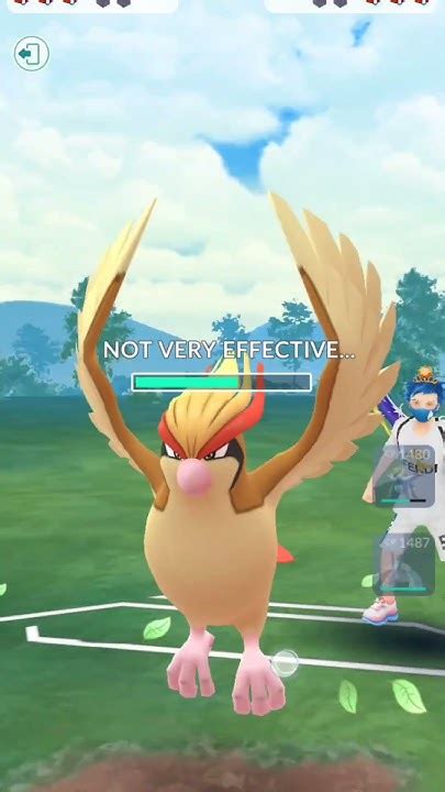 pidgeot pokemon go pvp.